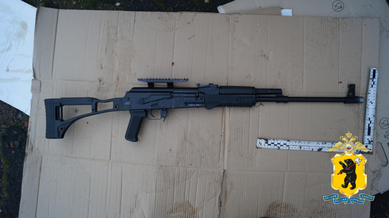 Убиты 4 лося: в Ярославской области трех человек подозревают в незаконной охоте