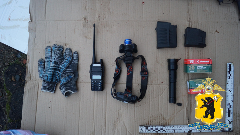 Убиты 4 лося: в Ярославской области трех человек подозревают в незаконной охоте