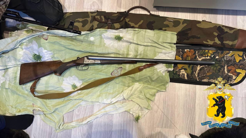 Убиты 4 лося: в Ярославской области трех человек подозревают в незаконной охоте