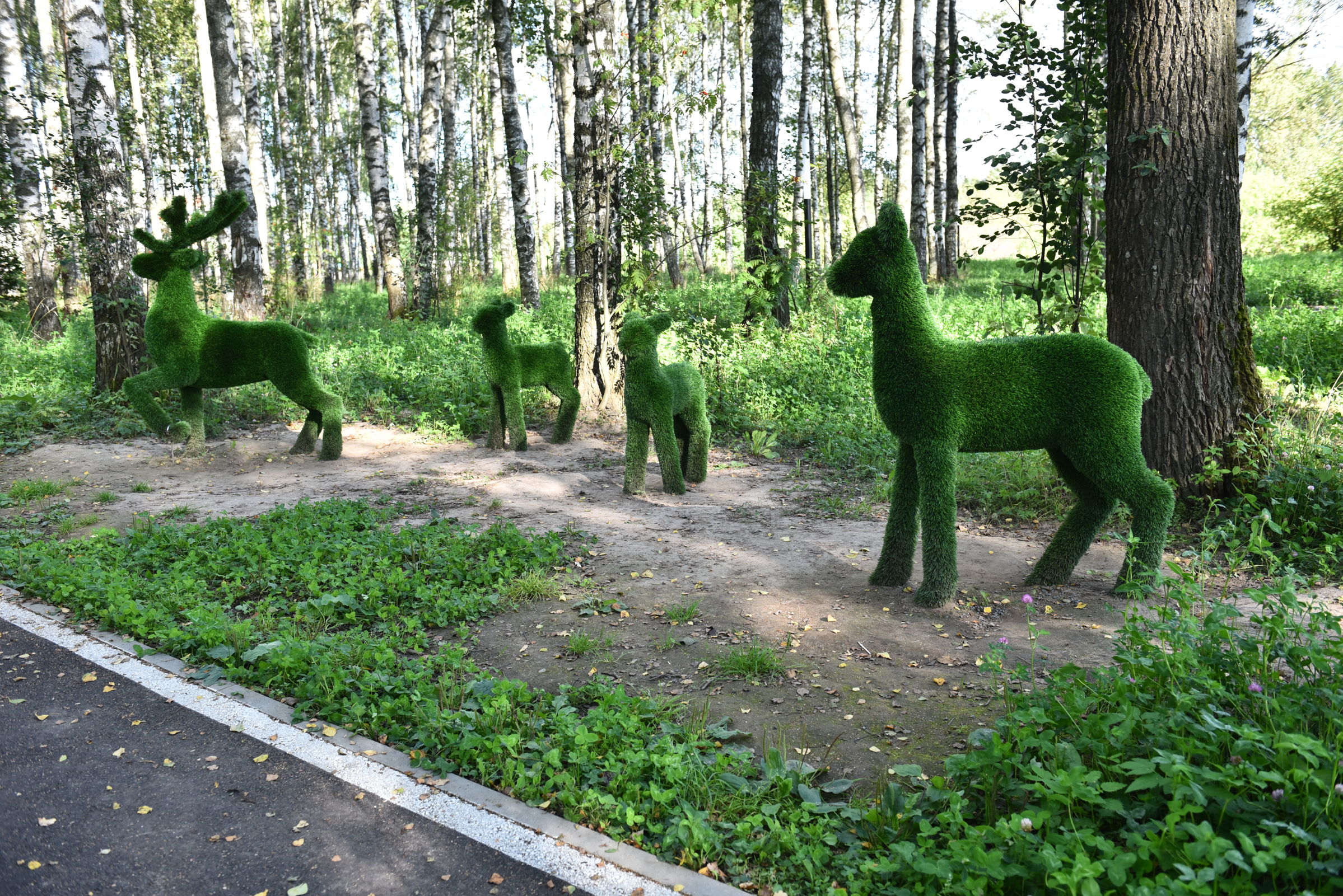 ​Более 40 общественных пространств благоустроят в Ярославской области в этом году