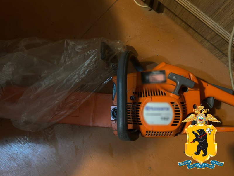 В Ярославской области задержали подозреваемого в краже икон и электроинструментов