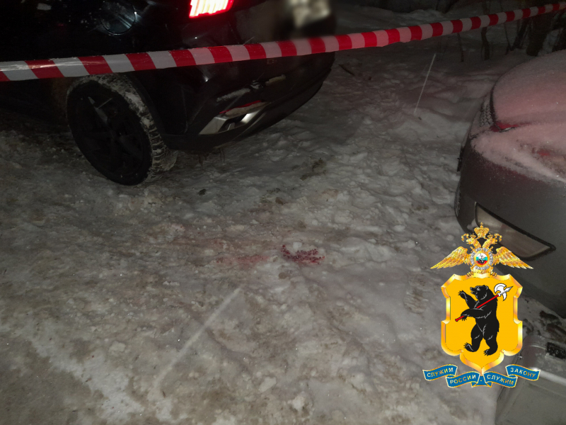 Житель Рыбинска зарезал мужчину на почве ревности