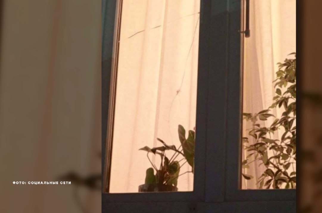 В Ярославле подростки выстрелили в окно квартиры