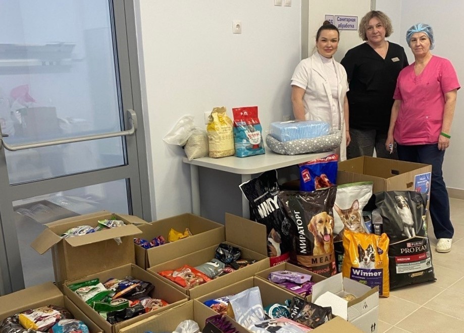 ​«Месяц добрых дел» проходит в Ярославской области