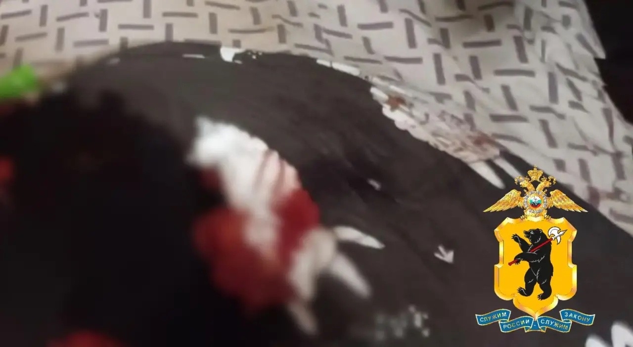 В Ярославле женщина зарезала ножом своего сожителя в коммунальной квартире