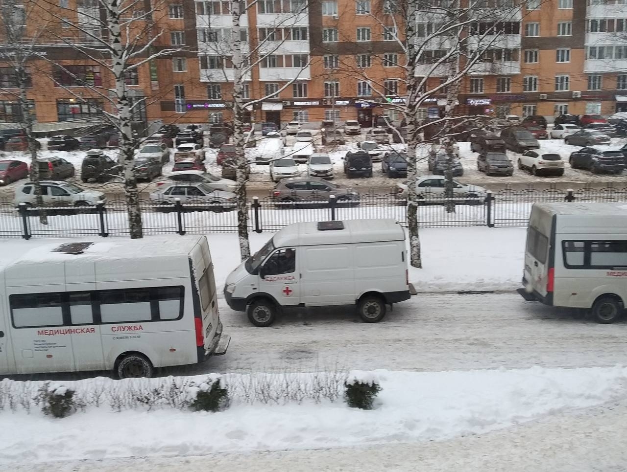 «Маршруты здоровья» в Ярославской области выполняют 11 рейсов в будни