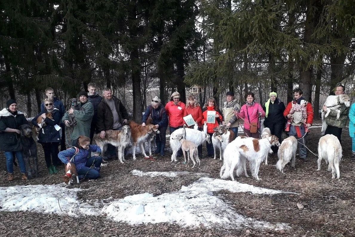 ​Межрегиональные соревнования по бегам борзых собак пройдут в Ярославской области