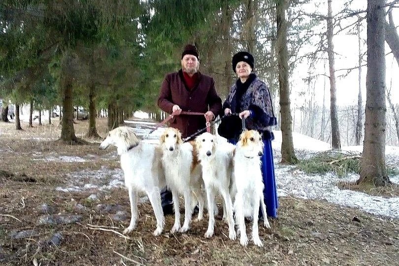 ​Межрегиональные соревнования по бегам борзых собак пройдут в Ярославской области