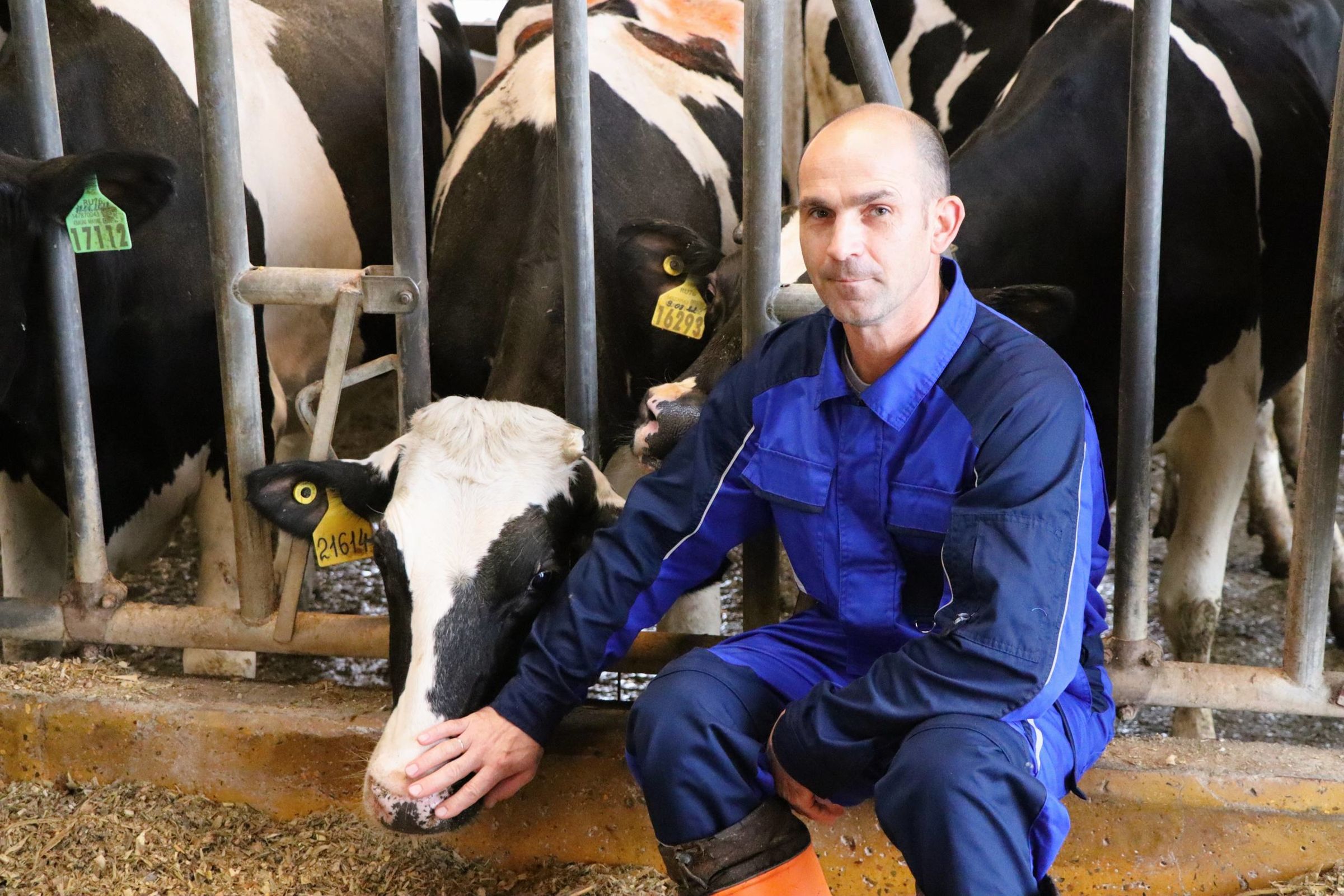 На поддержку АПК Ярославской области направят более 780 млн рублей