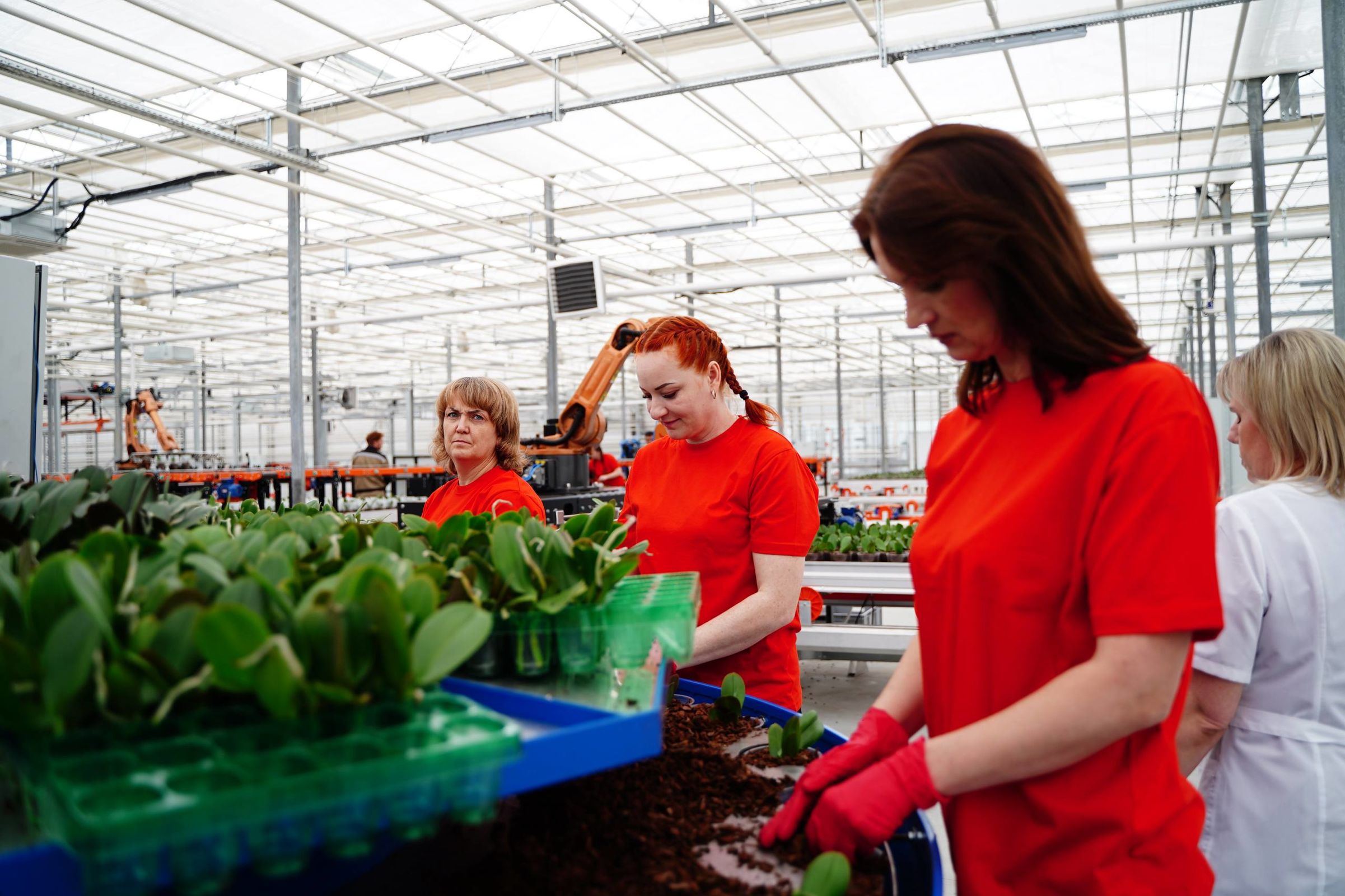 На поддержку АПК Ярославской области направят более 780 млн рублей