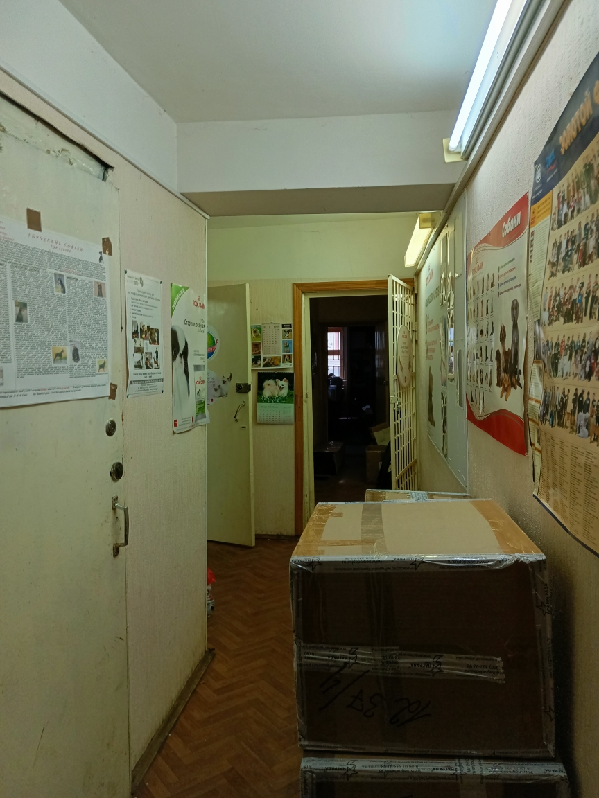 В Ярославле вновь выставили на продажу «Дом аптекаря Дурова»