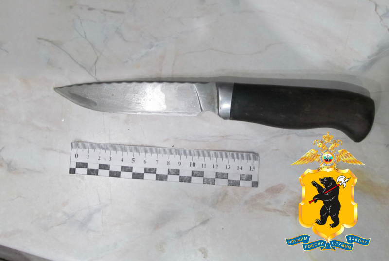 Житель Рыбинска зарезал ножом свою сожительницу