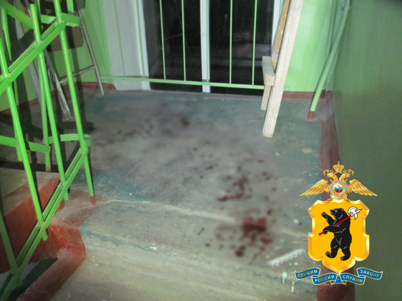 Житель Рыбинска зарезал ножом свою сожительницу