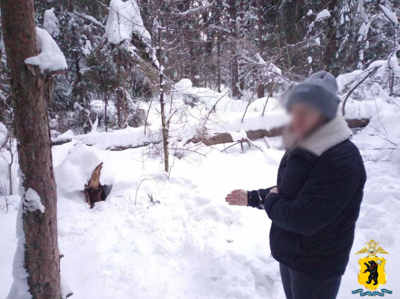 В Ярославской области задержали закладчицу из Петербурга с 8 килограммами мефедрона