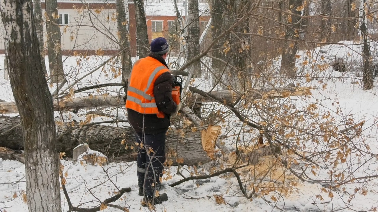 Ярославских землевладельцев обязали уничтожать все опасные растения на своих участках