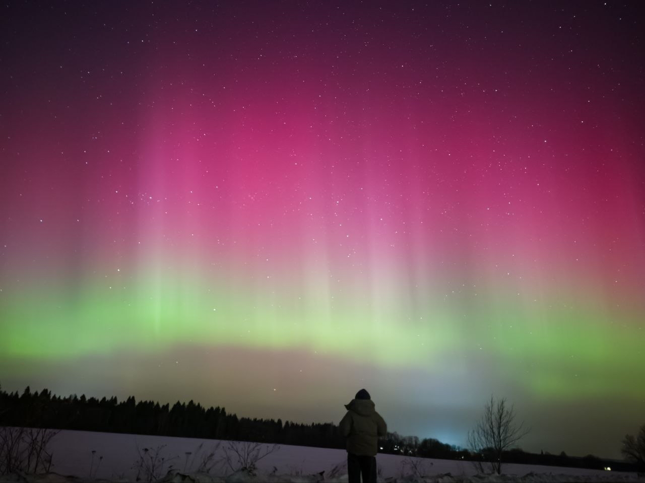 Жители Ярославской области запечатлели северное сияние