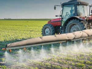 В Ярославской области выявлены нарушения при использовании пестицидов на полях