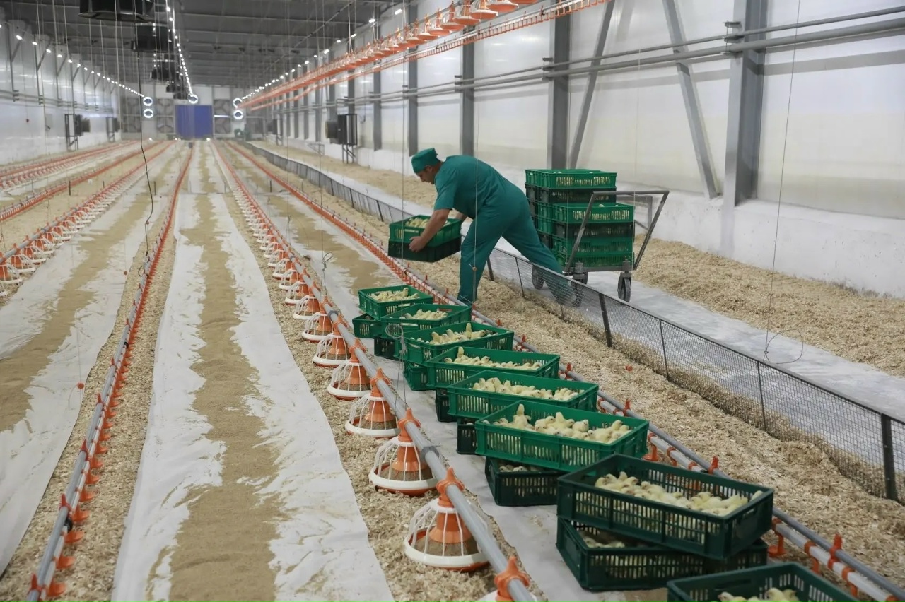 ​Индекс производства пищевой промышленности в Ярославской области в 2025 году составил 106,6%