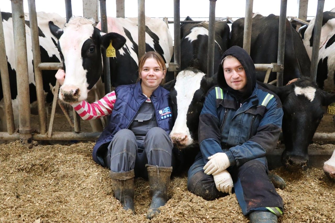 ​Индекс сельхозпроизводства в Ярославской области в 2025 году превысил 104%