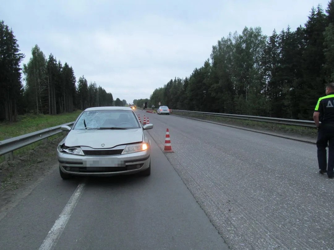 Был под наркотиками: в Ярославской области осудили водителя за смертельное ДТП
