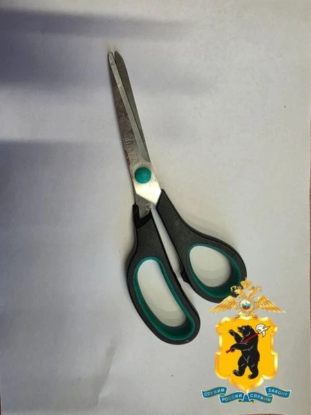 Устроил погром и напал с ножницами на женщину в магазине: ярославец предстанет перед судом