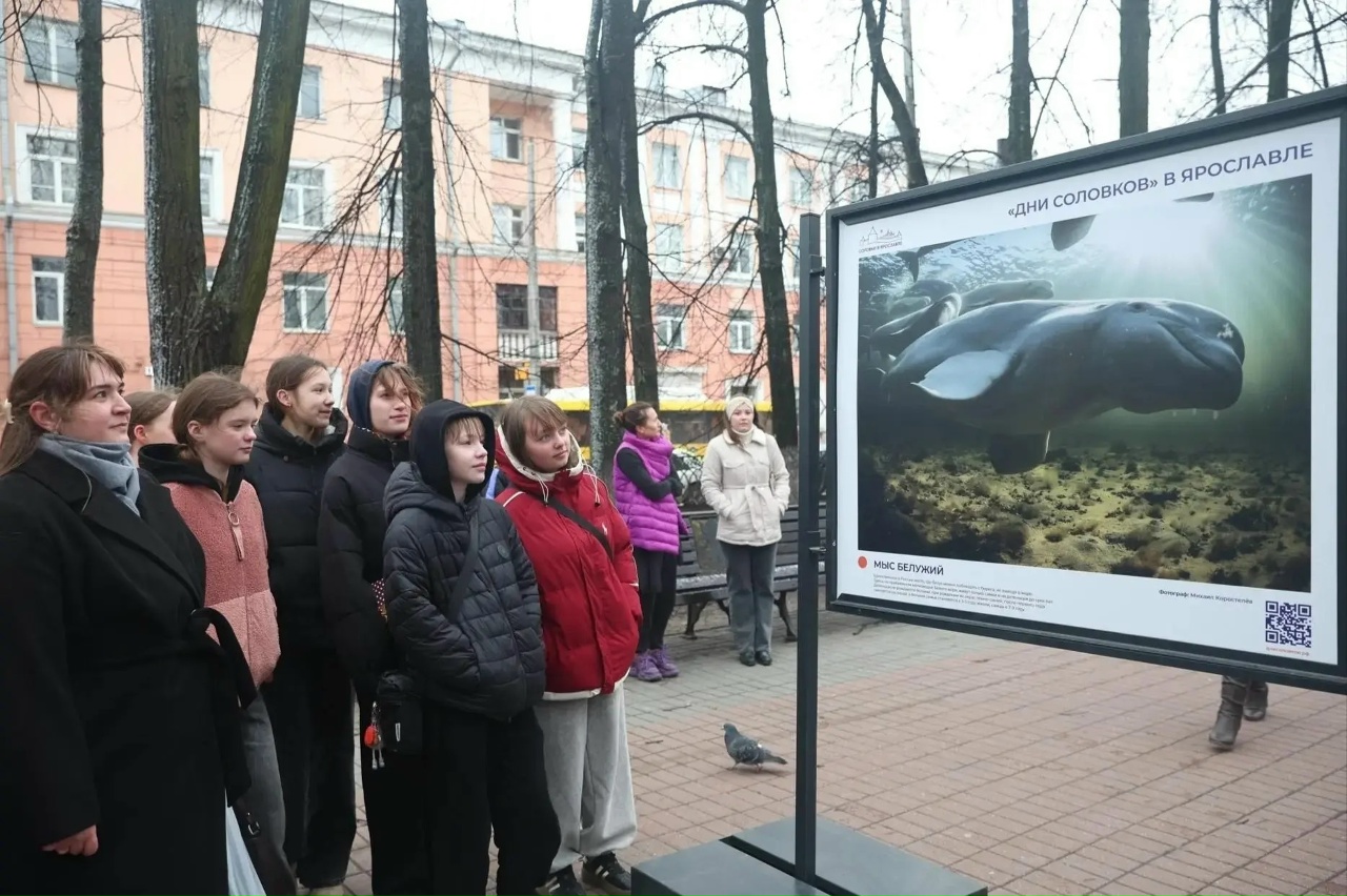 Фотовыставка о Соловецком архипелаге открылась на Первомайском бульваре в Ярославле