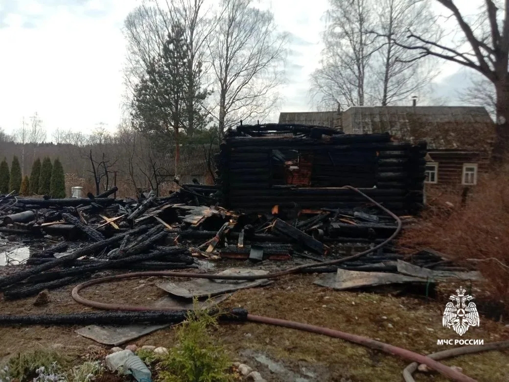 В Ярославской области во время пожара погиб человек