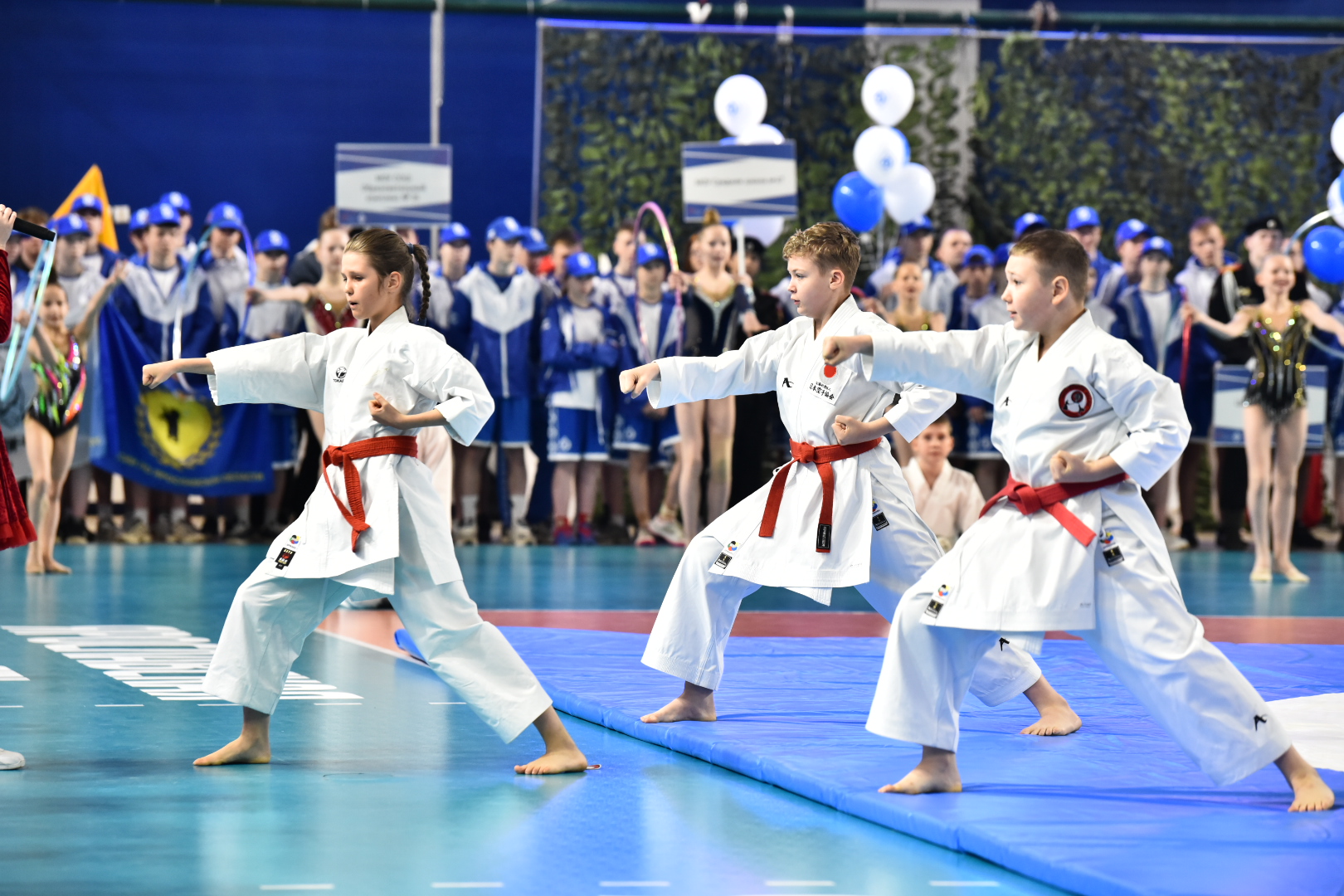 Весенний спортивный фестиваль «Юный динамовец» состоялся в Ярославле