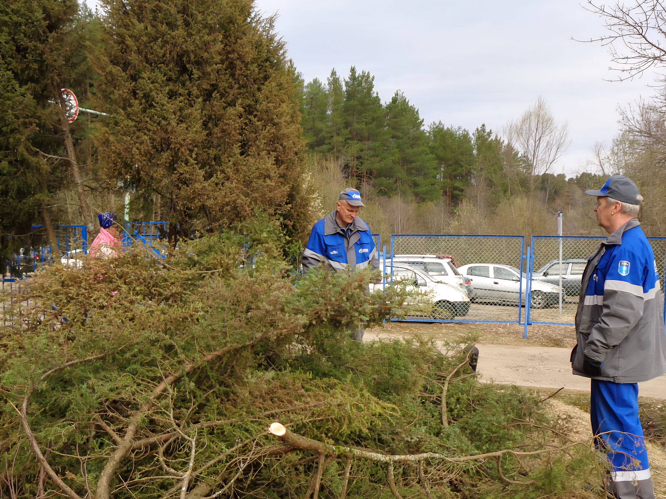 Работники компаний «Газпром газораспределение Ярославль» и «Рыбинскгазсервис» приняли участие во Всероссийской экологической акции «Зеленая весна»