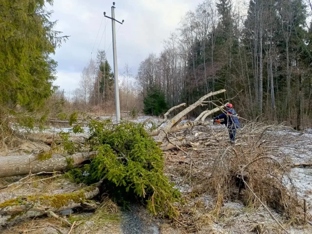 Энергетики «Ярэнерго» восстанавливают электроснабжение после новой волны непогоды