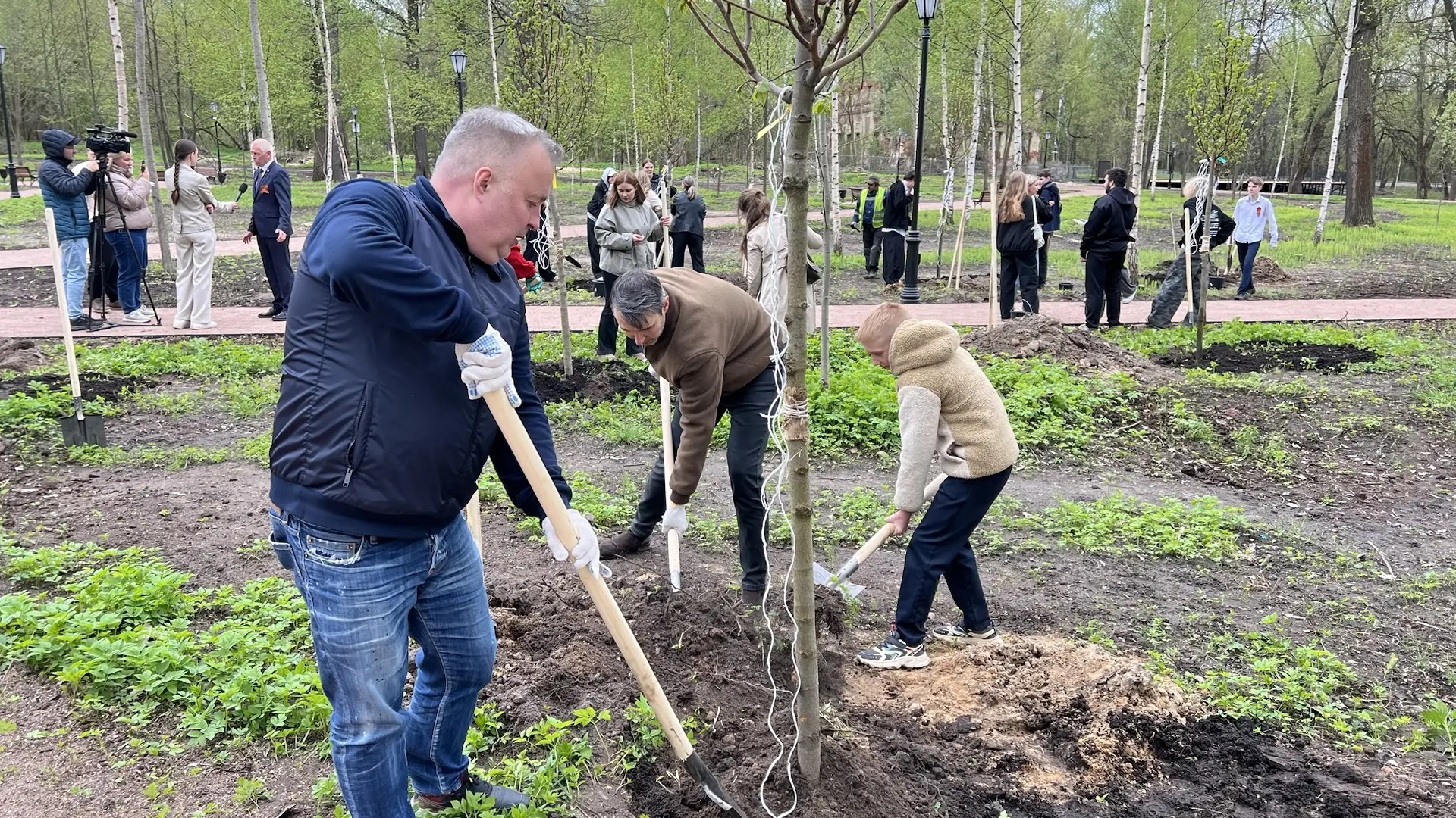 В Петропавловском парке Ярославля высадили новые деревья