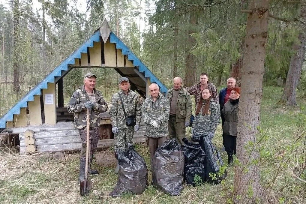 В лесах Ярославской области пройдут субботники