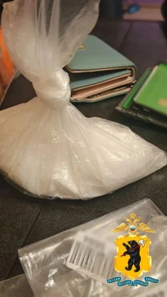 В Петропавловском парке Ярославля задержали закладчицу с крупной партией наркотиков
