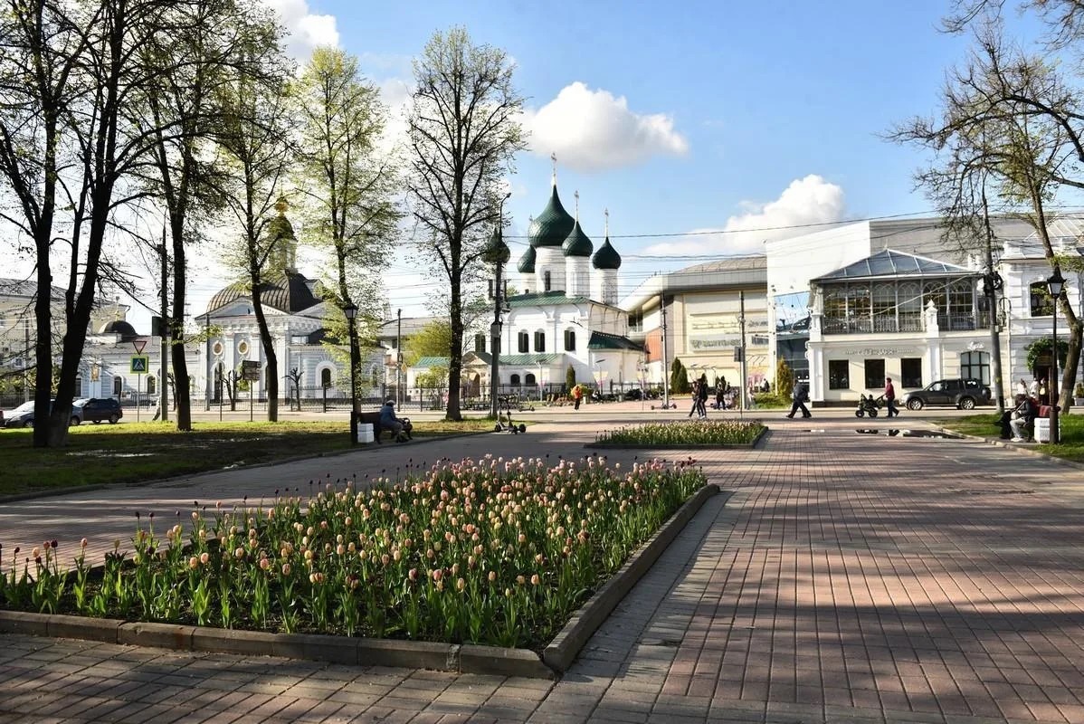 Единый график уборки мусора на общественных пространствах ввели в Ярославской области