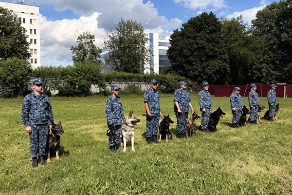 В Ярославле прошли соревнования по многоборью кинологов