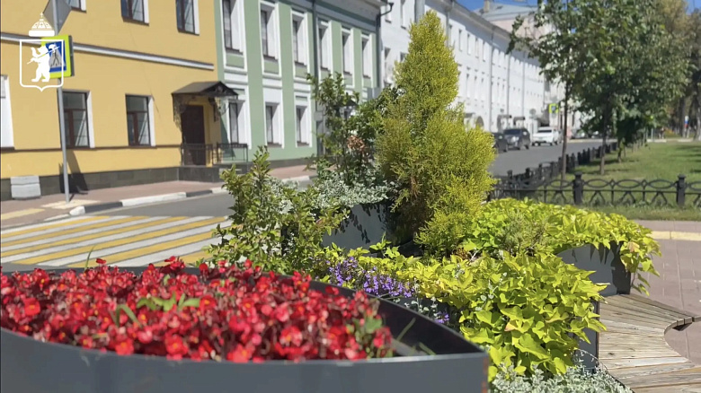 В центре Ярославля становится больше мобильного озеленения