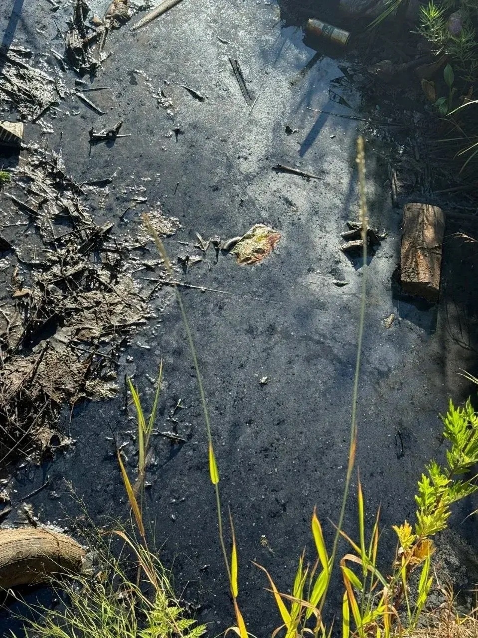 В Рыбинске очистят водоотводную канаву в притоке реки Уткашь