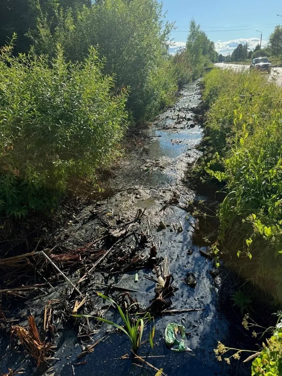 В Рыбинске очистят водоотводную канаву в притоке реки Уткашь