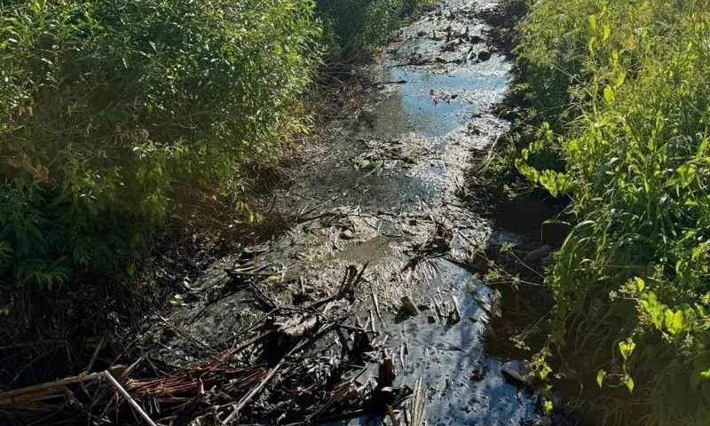 В притоке реки Уткашь в Рыбинске установят боновые заграждения