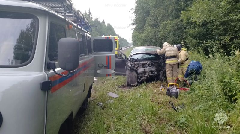 На трассе в Ярославской области произошло смертельное ДТП