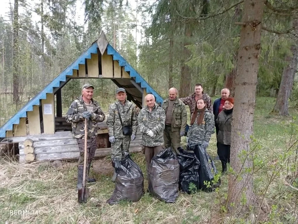 В лесах Ярославской области ликвидировано 15 крупных свалок