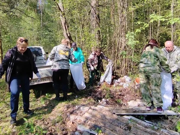 В лесах Ярославской области ликвидировано 15 крупных свалок