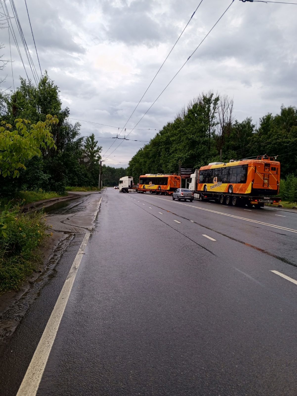 В Ярославль прибыли новые троллейбусы «Ольгерды»