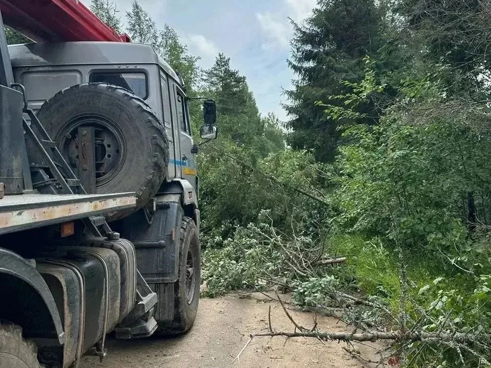 В Ярославской области устраняют последствия непогоды