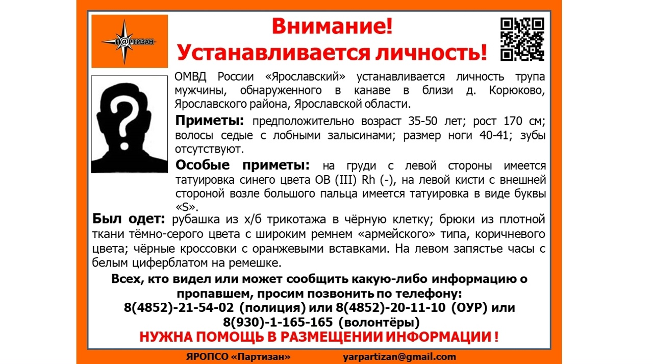 В деревне под Ярославлем обнаружили тело мужчины в канаве
