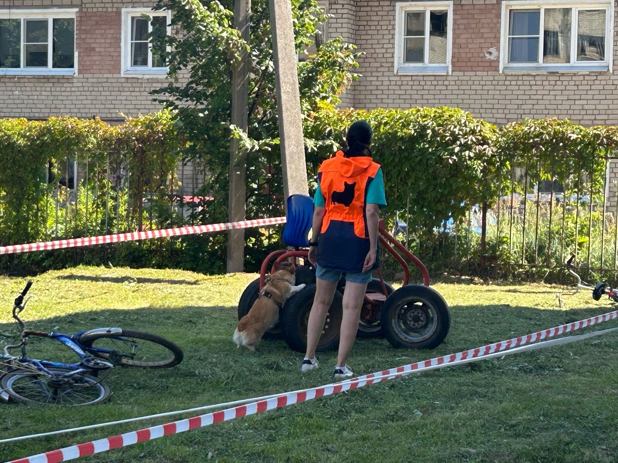 В Ярославской области прошли кинологические соревнования по ноузворку