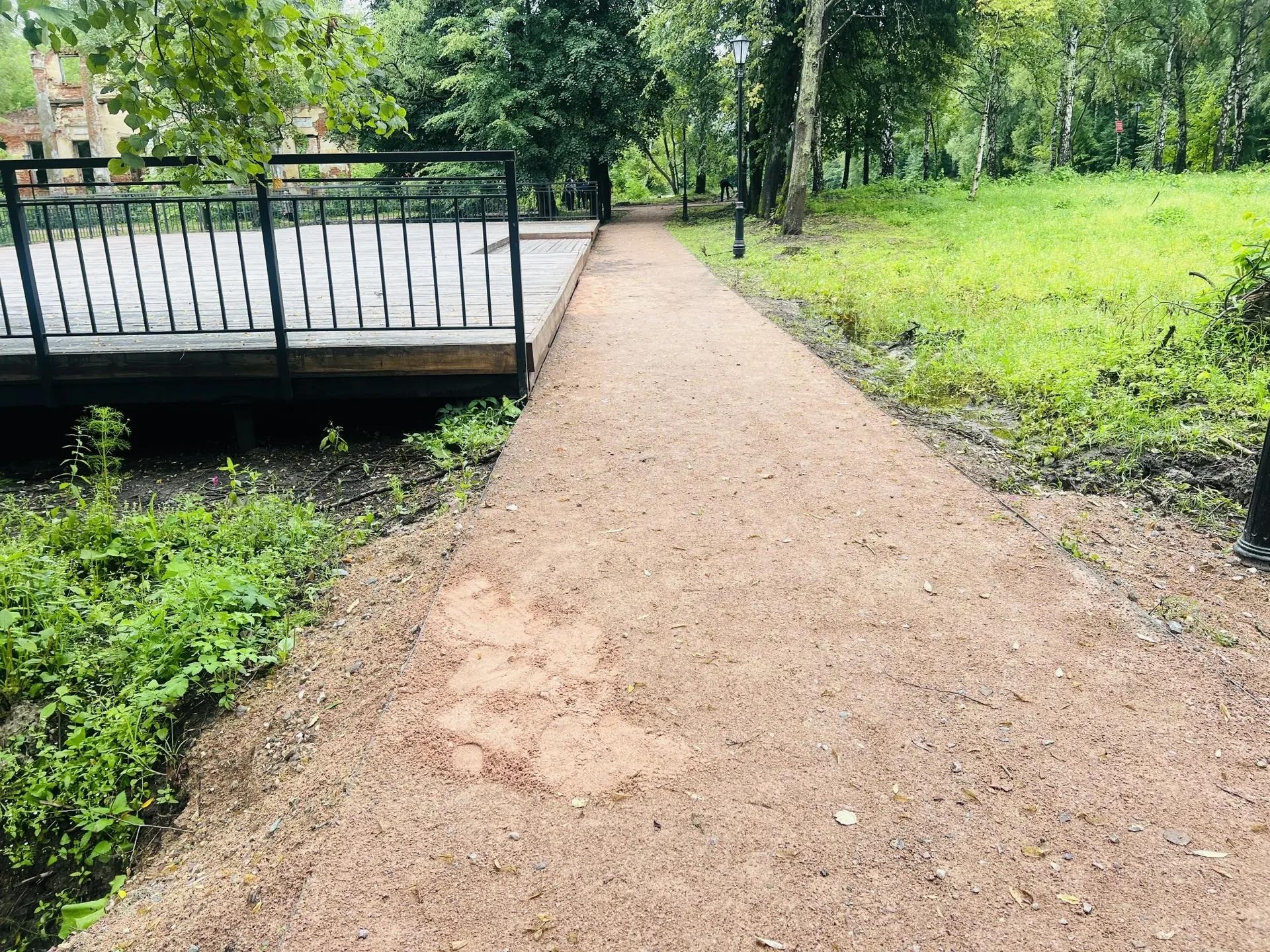 Городские службы устранили последствия дождя в Петропавловском парке после обращения общественников