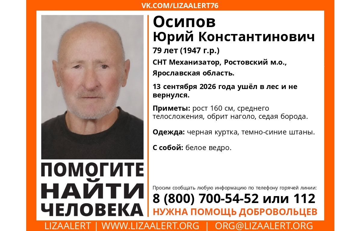 В Ярославской области ищут пропавшего79-летнего грибника