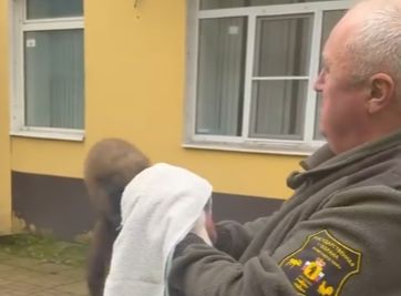 В Рыбинске куница пробралась в стоматологию
