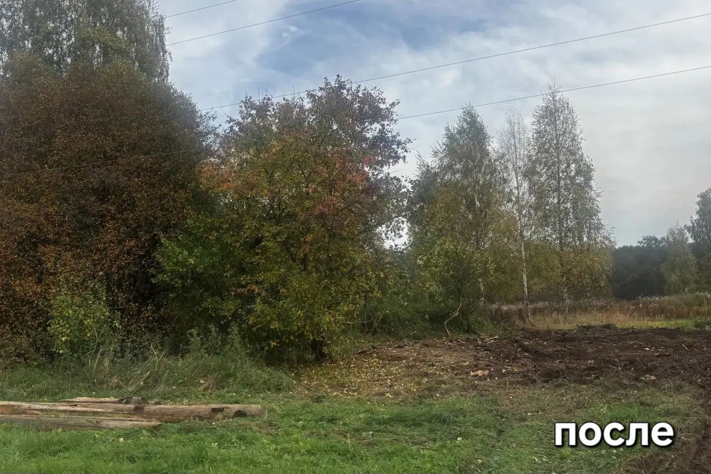 Более 3,5 тысячи фактически погибших объектов демонтировано в Ярославской области